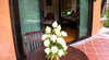The Village Resort Spa 